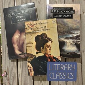 3 Classic Novels: LORNA DOONE/MADAME BOVARY/WOMEN IN LOVE